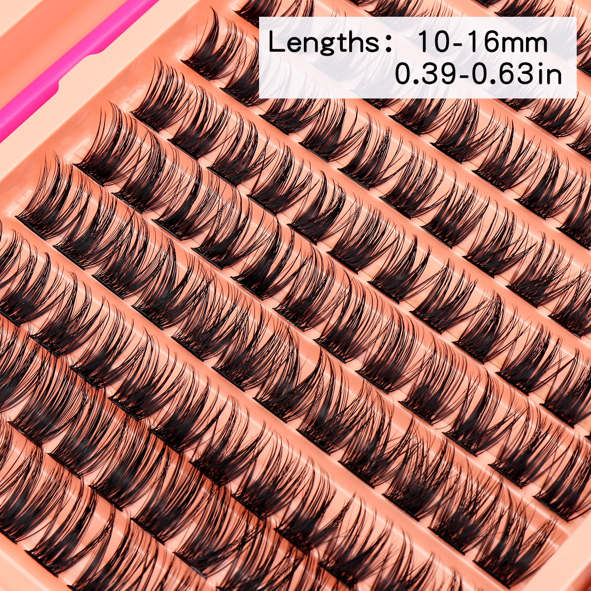 1870047791645843456
